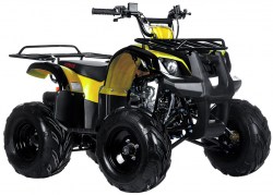 Irbis yellow